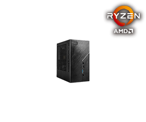 DeskMini X300/2.5G Series